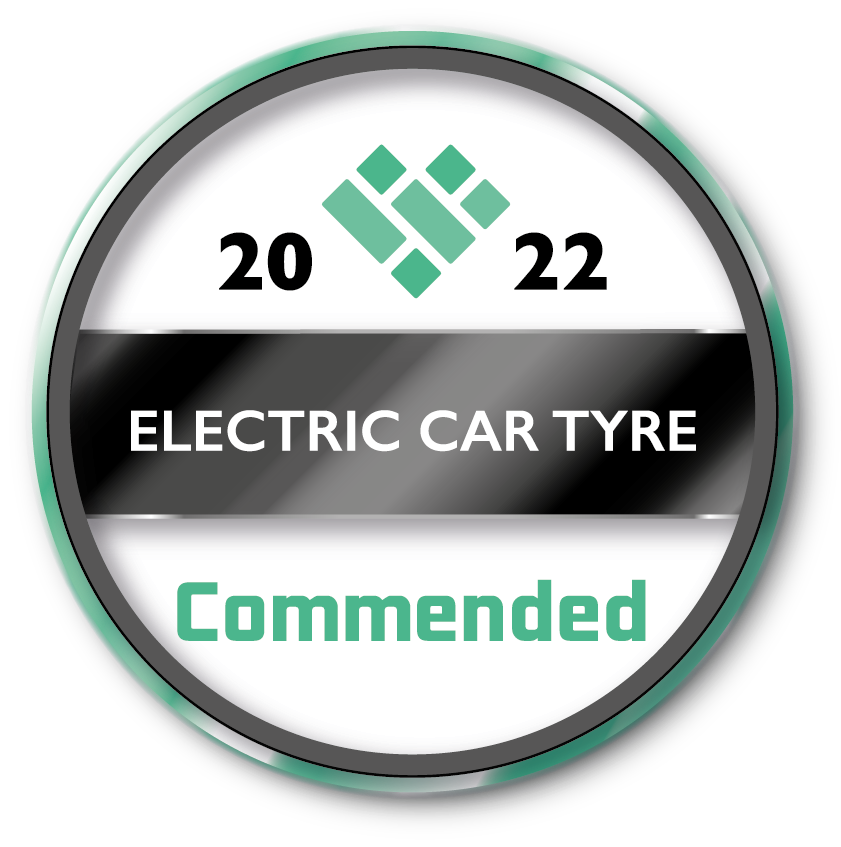 The top replacement electric car tyres 2022 What Tyre Independent